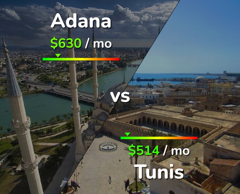Cost of living in Adana vs Tunis infographic