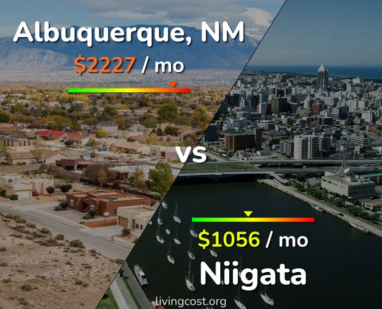 Cost of living in Albuquerque vs Niigata infographic