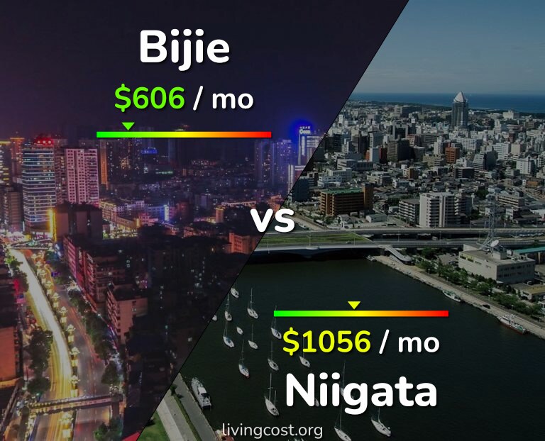 Cost of living in Bijie vs Niigata infographic