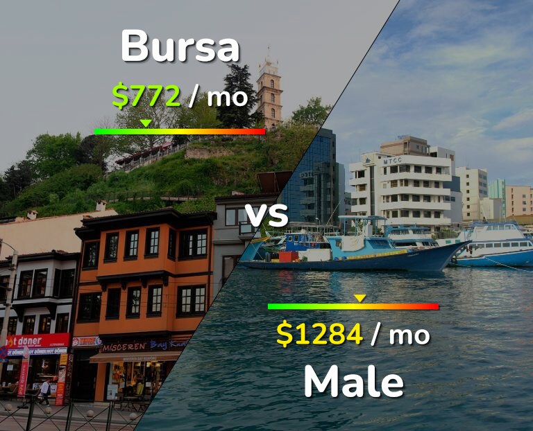 Cost of living in Bursa vs Male infographic