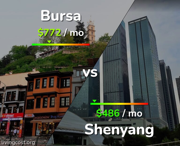 Cost of living in Bursa vs Shenyang infographic