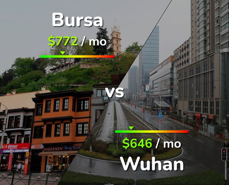 Cost of living in Bursa vs Wuhan infographic