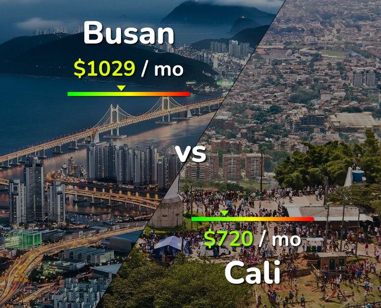 Cost of living in Busan vs Cali infographic