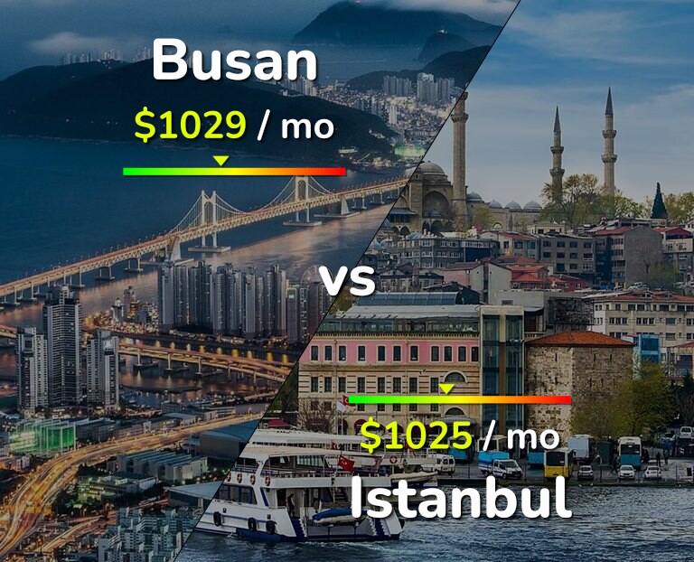 Cost of living in Busan vs Istanbul infographic