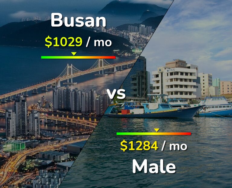Cost of living in Busan vs Male infographic