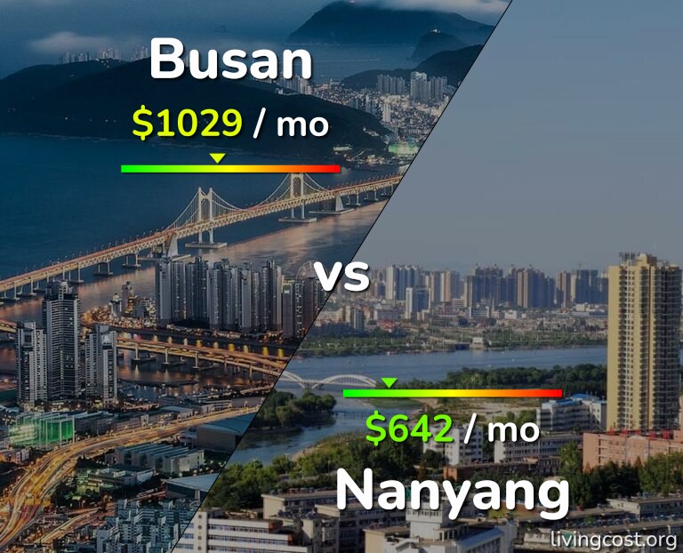 Cost of living in Busan vs Nanyang infographic