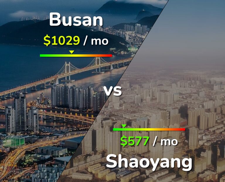 Cost of living in Busan vs Shaoyang infographic
