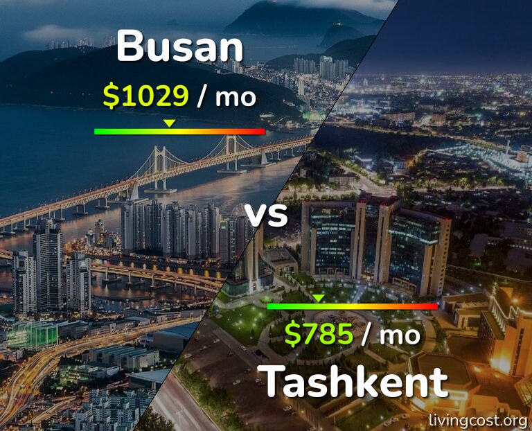 Cost of living in Busan vs Tashkent infographic