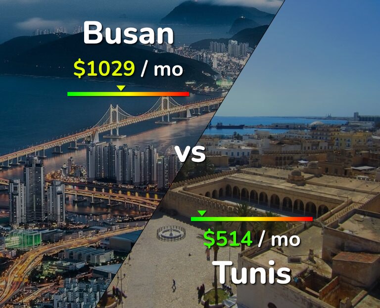 Cost of living in Busan vs Tunis infographic