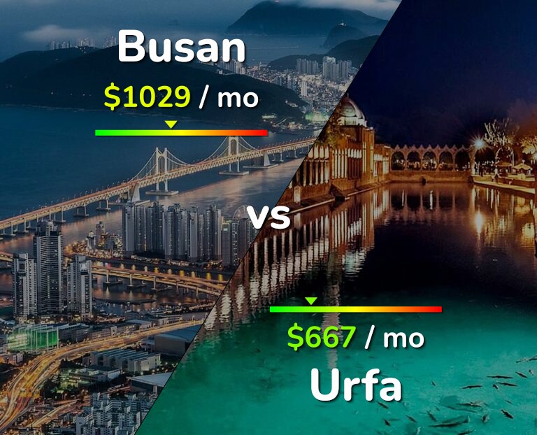 Cost of living in Busan vs Urfa infographic