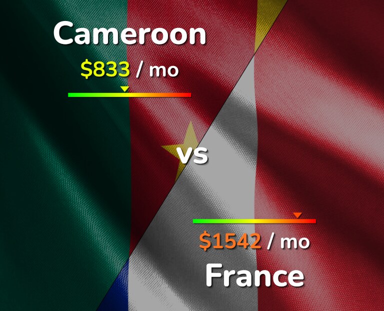 Cost of living in Cameroon vs France infographic
