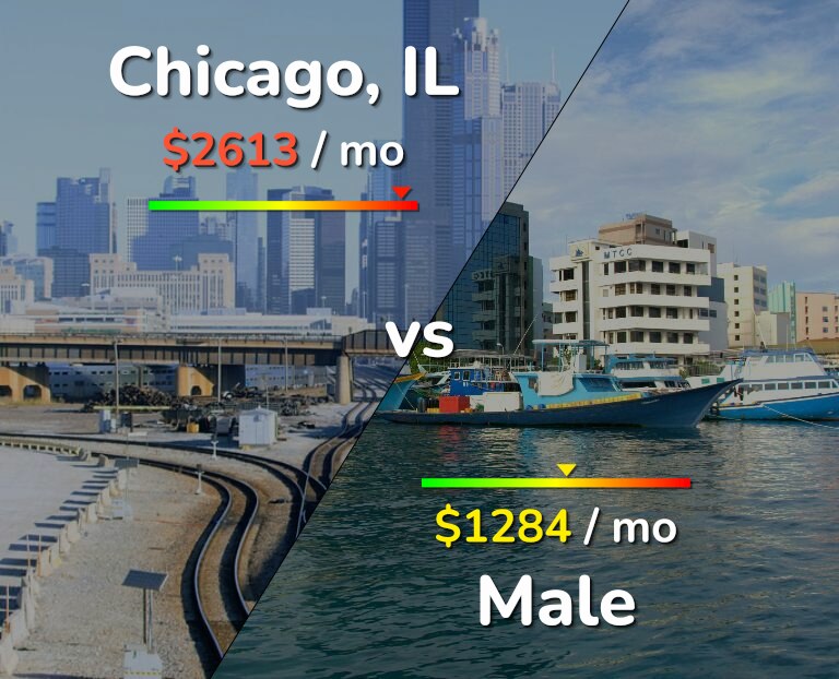 Cost of living in Chicago vs Male infographic
