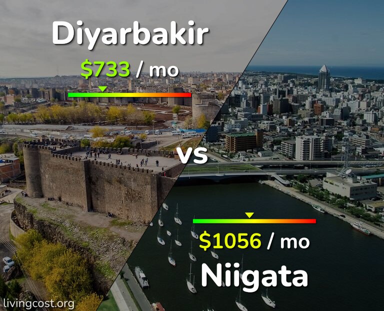 Cost of living in Diyarbakir vs Niigata infographic