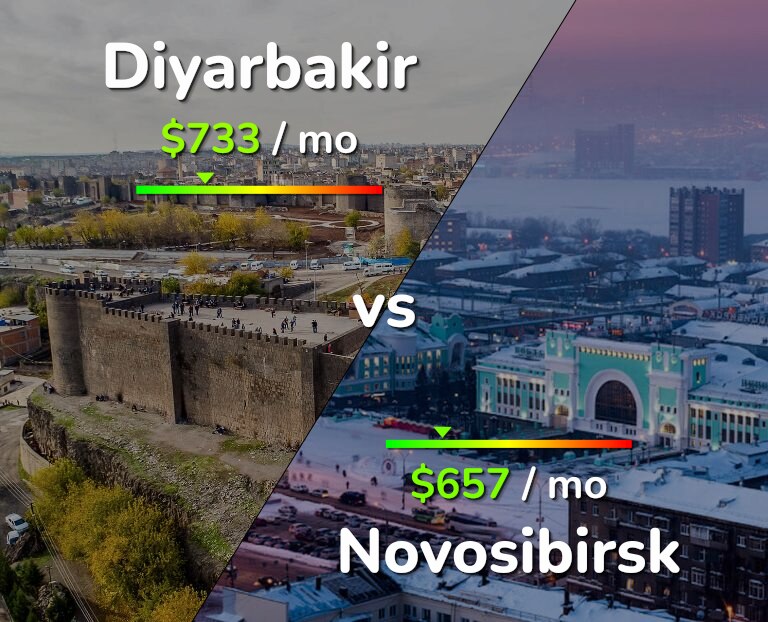 Cost of living in Diyarbakir vs Novosibirsk infographic