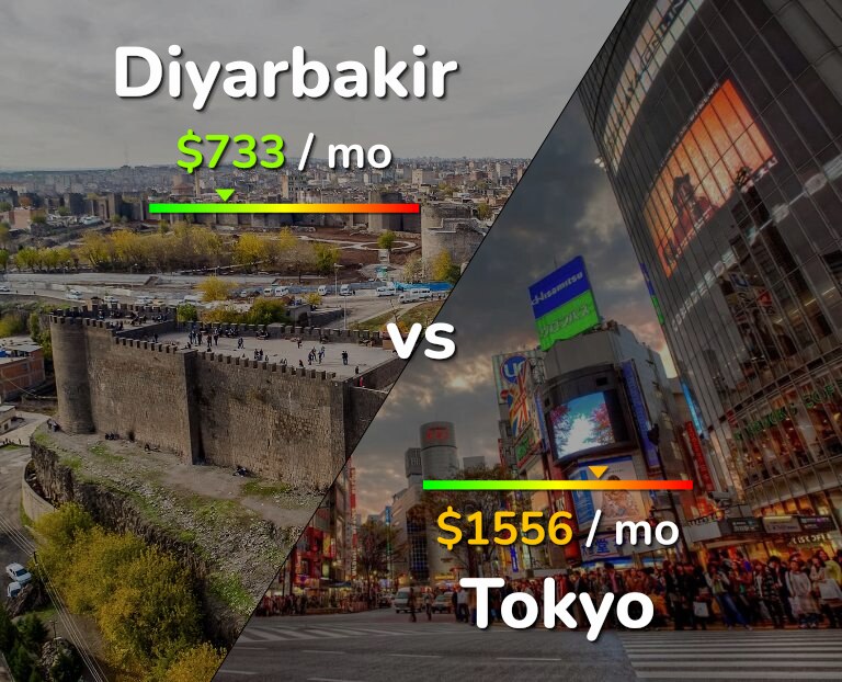 Cost of living in Diyarbakir vs Tokyo infographic