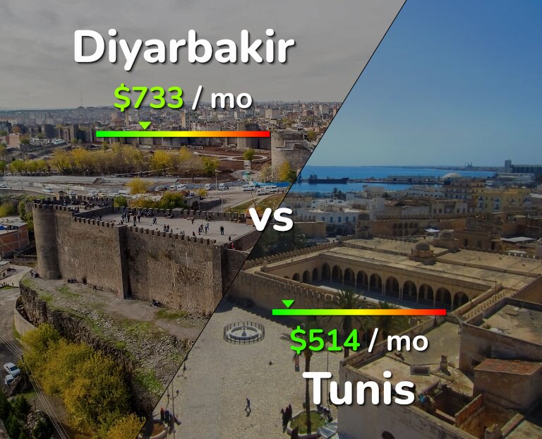 Cost of living in Diyarbakir vs Tunis infographic