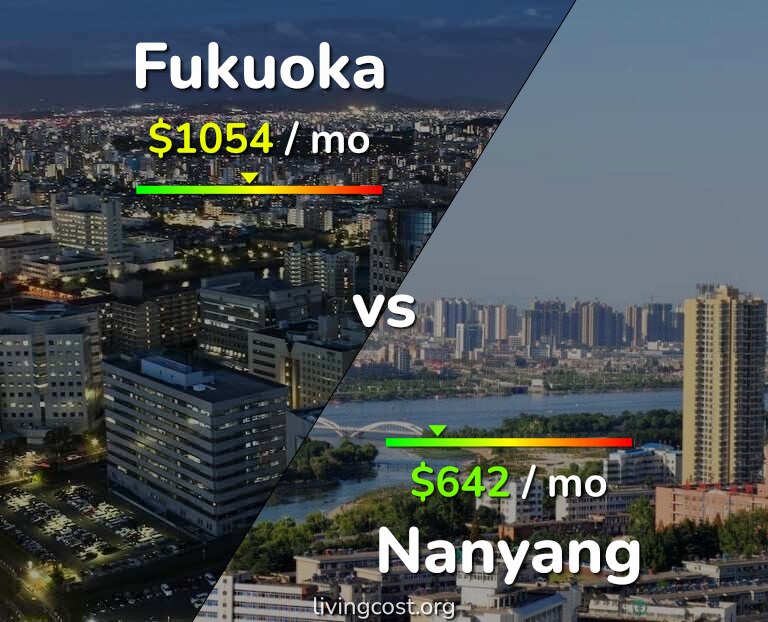 Cost of living in Fukuoka vs Nanyang infographic