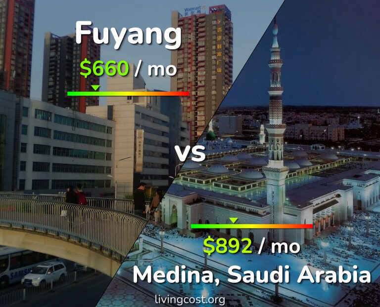 Cost of living in Fuyang vs Medina infographic