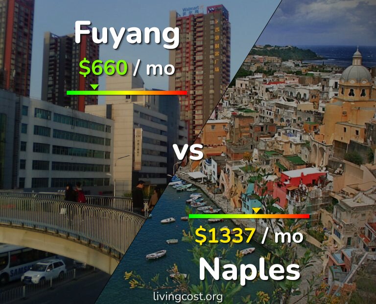 Cost of living in Fuyang vs Naples infographic