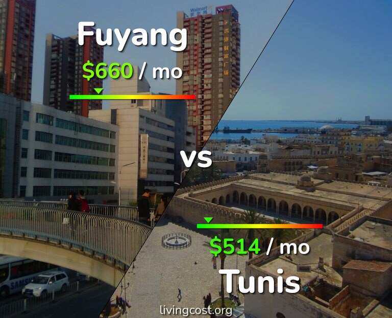 Cost of living in Fuyang vs Tunis infographic