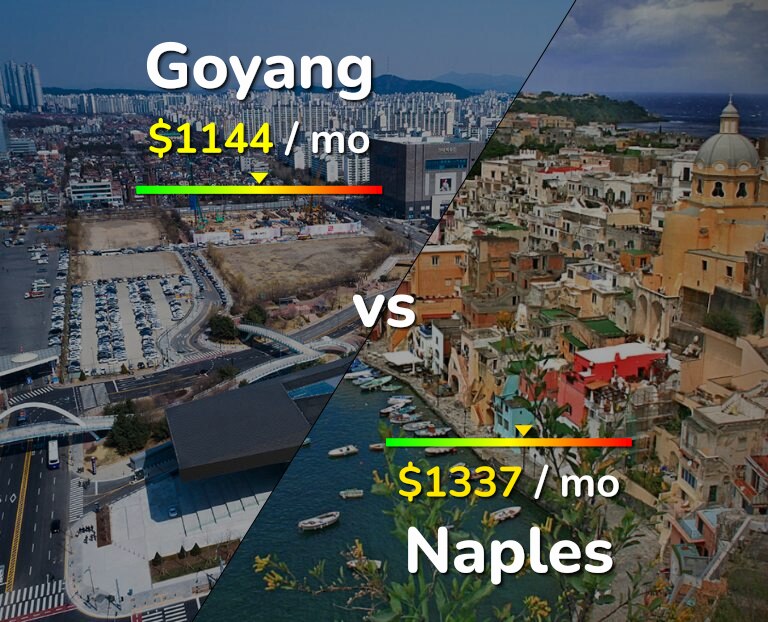 Cost of living in Goyang vs Naples infographic