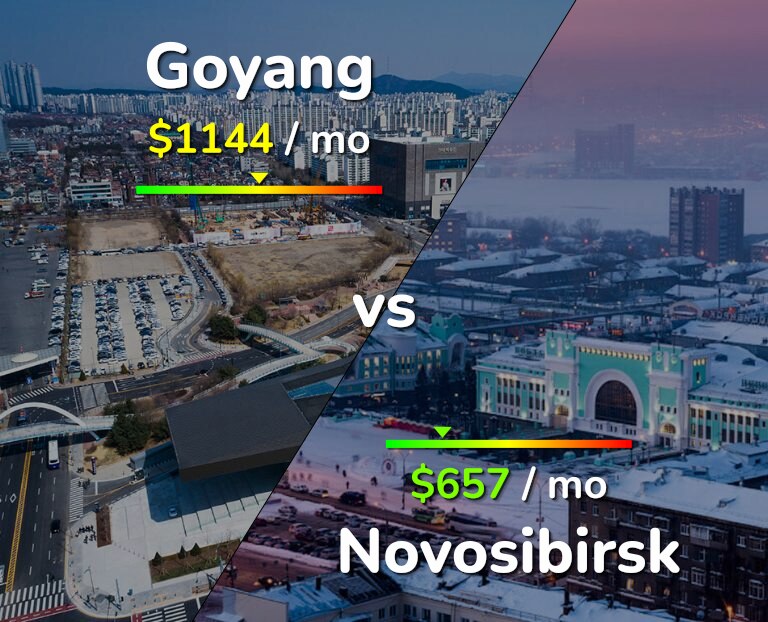 Cost of living in Goyang vs Novosibirsk infographic