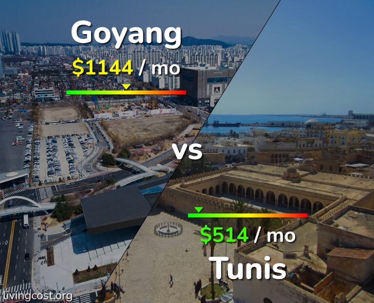 Cost of living in Goyang vs Tunis infographic