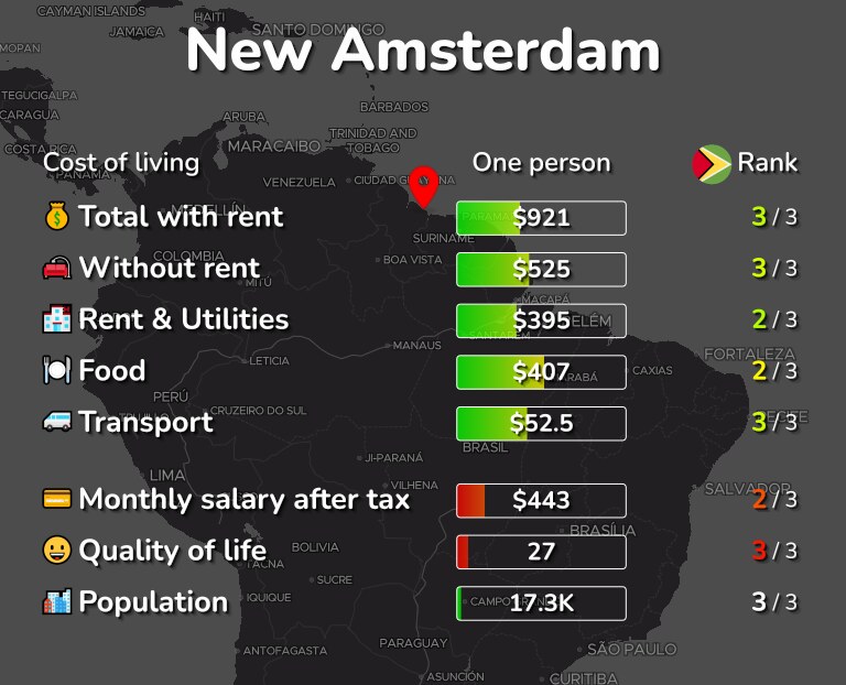 Cost of living in New Amsterdam infographic