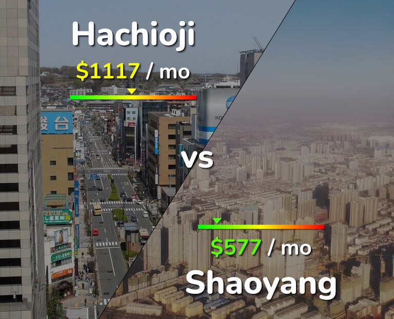 Cost of living in Hachioji vs Shaoyang infographic