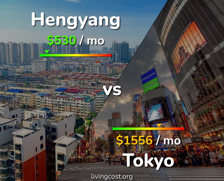 Cost of living in Hengyang vs Tokyo infographic