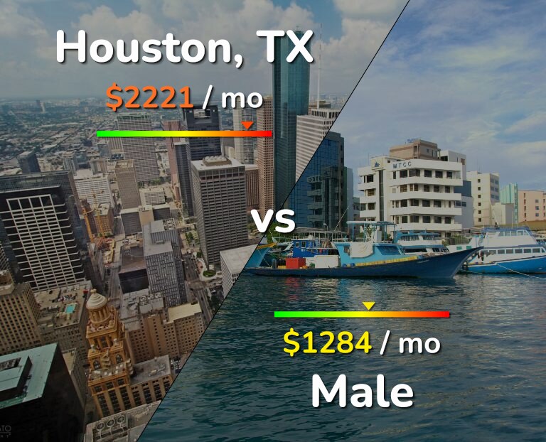 Cost of living in Houston vs Male infographic