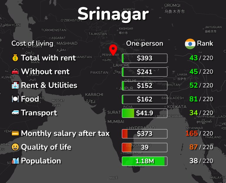 Cost of living in Srinagar infographic