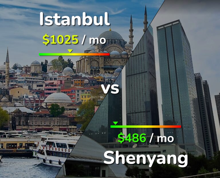 Cost of living in Istanbul vs Shenyang infographic