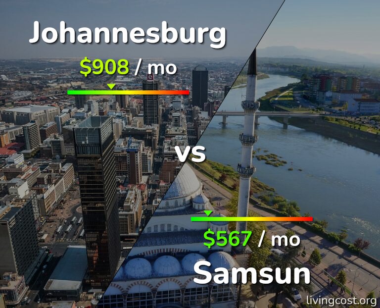 Cost of living in Johannesburg vs Samsun infographic
