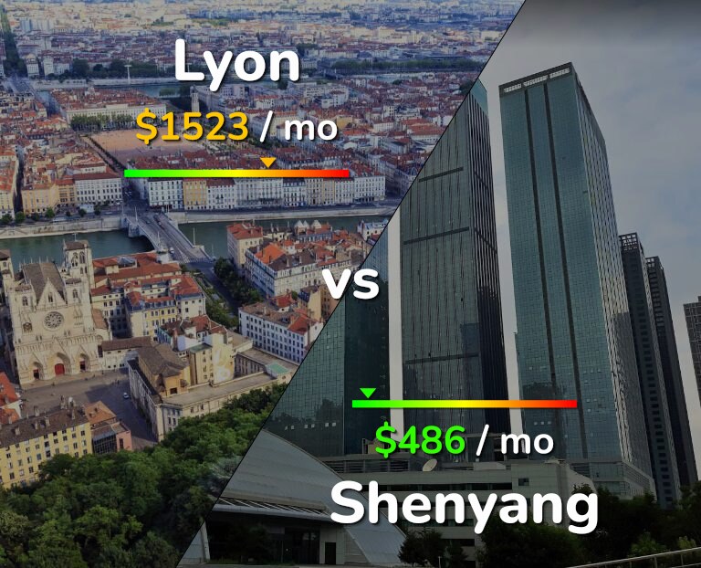 Cost of living in Lyon vs Shenyang infographic