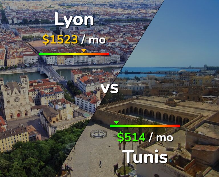 Cost of living in Lyon vs Tunis infographic