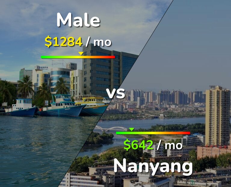 Cost of living in Male vs Nanyang infographic