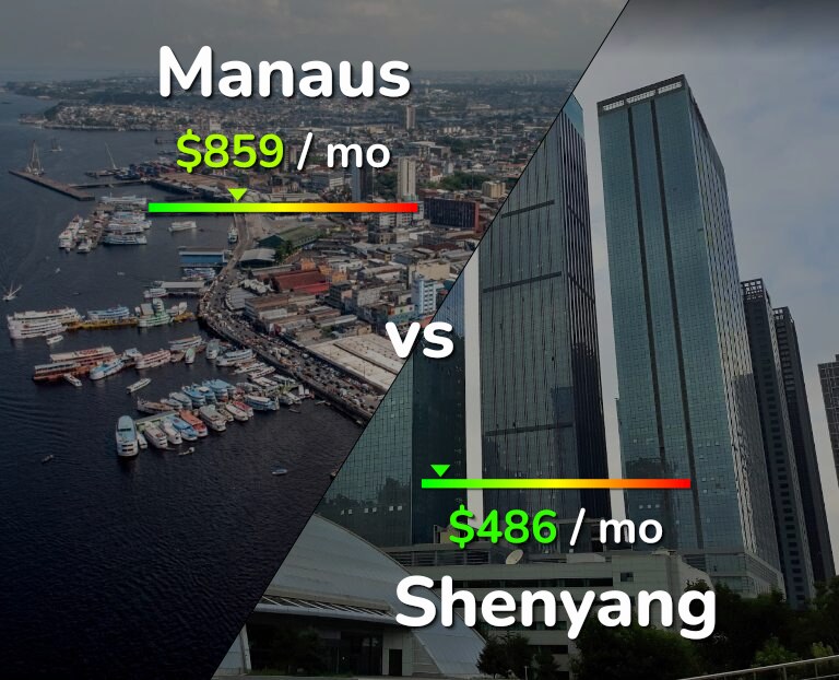 Cost of living in Manaus vs Shenyang infographic