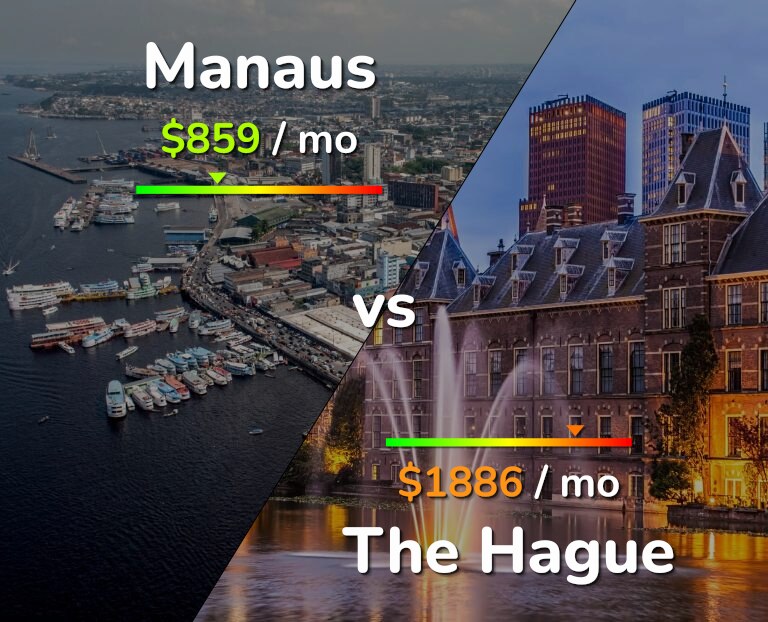 Cost of living in Manaus vs The Hague infographic