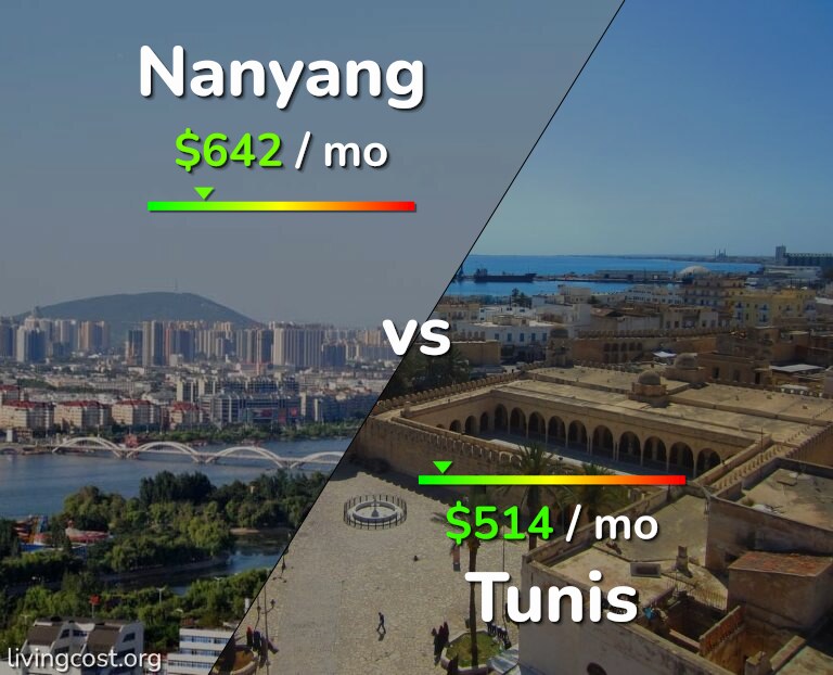 Cost of living in Nanyang vs Tunis infographic