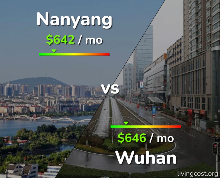Cost of living in Nanyang vs Wuhan infographic