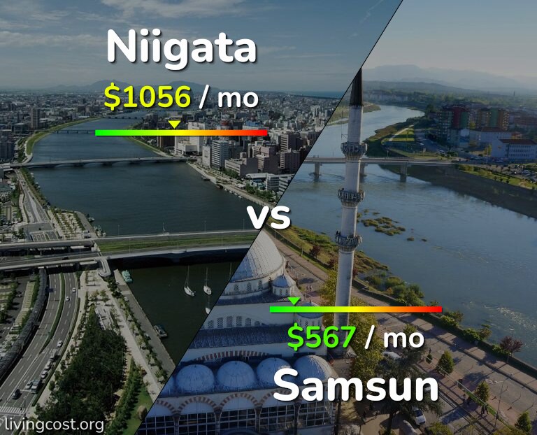 Cost of living in Niigata vs Samsun infographic