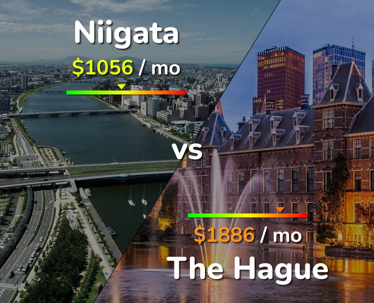 Cost of living in Niigata vs The Hague infographic