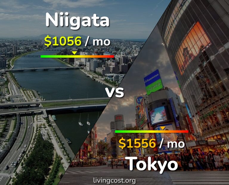Cost of living in Niigata vs Tokyo infographic