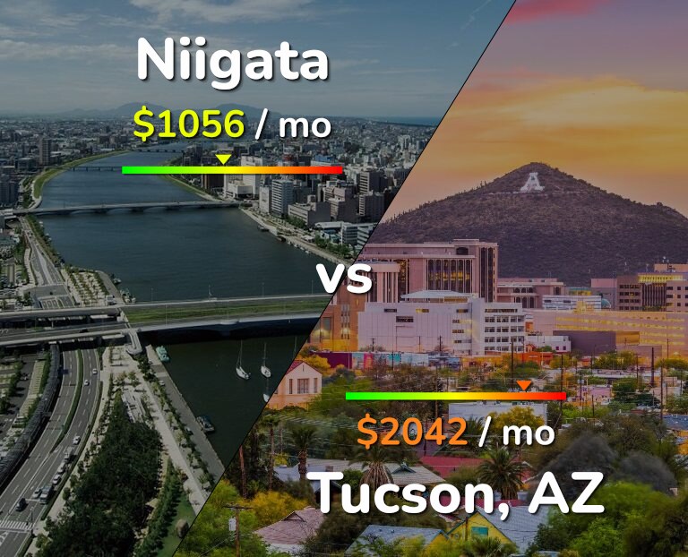 Cost of living in Niigata vs Tucson infographic