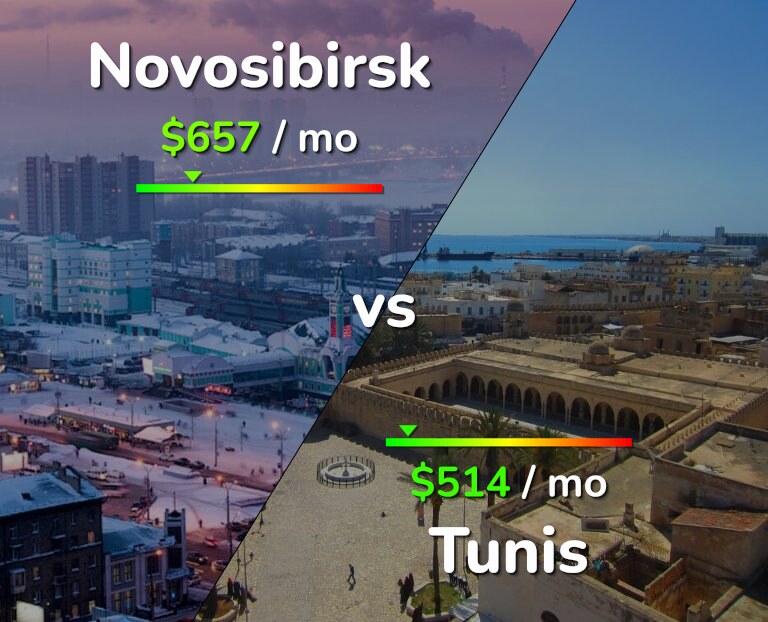 Cost of living in Novosibirsk vs Tunis infographic