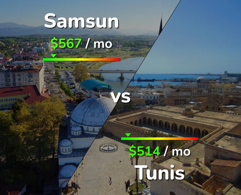 Cost of living in Samsun vs Tunis infographic