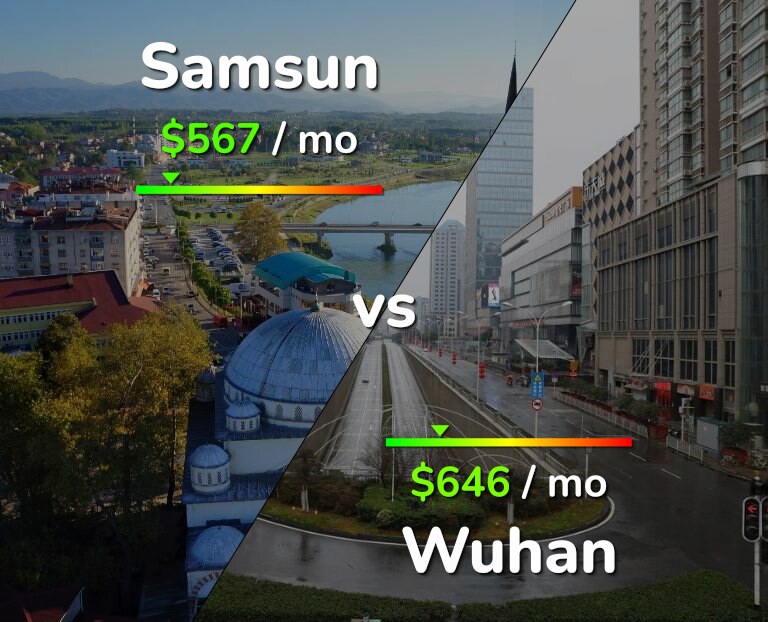 Cost of living in Samsun vs Wuhan infographic
