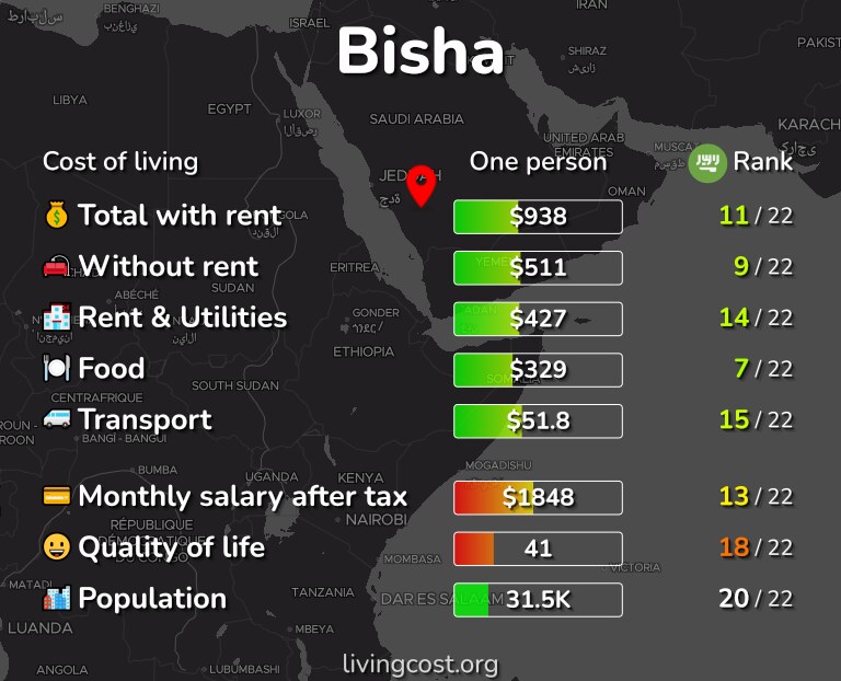 Cost of living in Bisha infographic