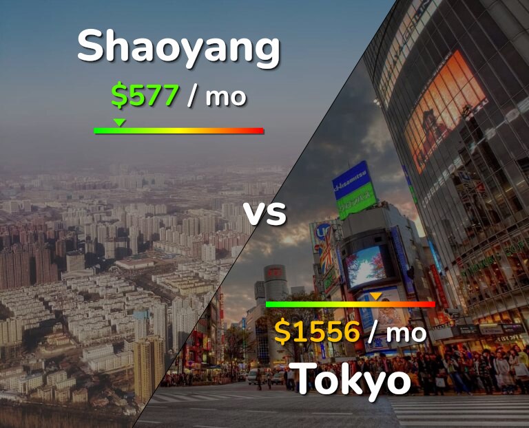 Cost of living in Shaoyang vs Tokyo infographic